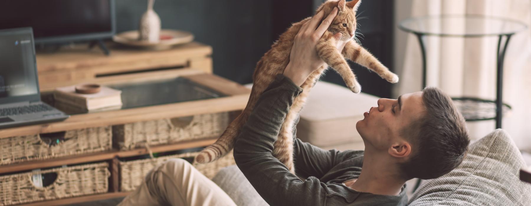 a person lying on a couch with a cat on the head